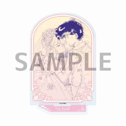(s)アクリルスタンド 怪盗セイント・テール 13 羽丘芽美&飛鳥大貴B(公式イラスト) 送料別880円