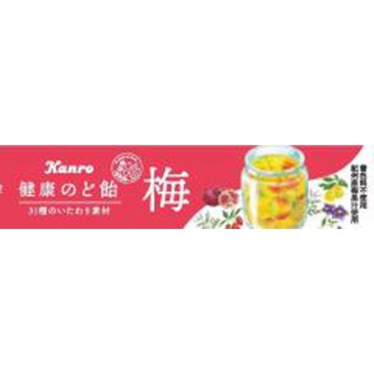 カンロ 健康のど飴梅 １１粒 △ 【購入入数１０個】