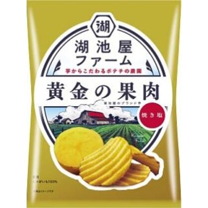 湖池屋ファーム 黄金の果肉 焼き塩 △ 【購入入数１２個】