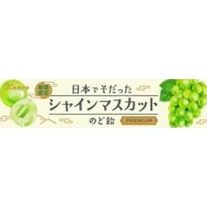 カンロ日本でそだったシャインマスカットのど飴１１粒 【新商品 5/26 発売】 □お取り寄せ品 【購入入数１２０個】