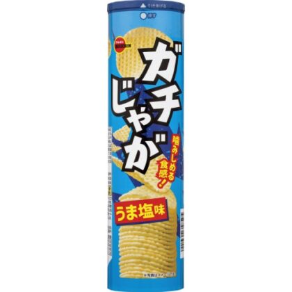 ブルボン ガチじゃが うま塩味１００ｇ □お取り寄せ品 【購入入数４０個】