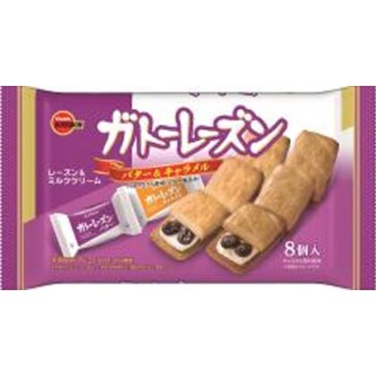 ブルボン ガトーレーズン８個  【購入入数１２個】