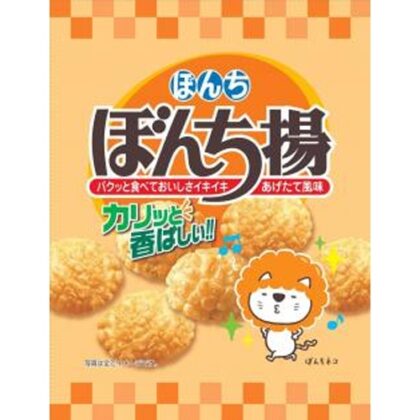 ぼんち ぼんち揚 ６０ｇ 【新商品 6/2 発売】  【購入入数２０個】