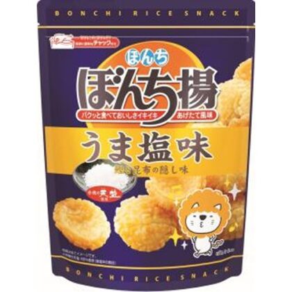 ぼんち ぼんち揚 うま塩味チャック付８５ｇ □お取り寄せ品 【購入入数１２個】