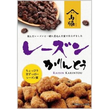 山脇 レーズンかりんとう ９０ｇ  【購入入数１２個】