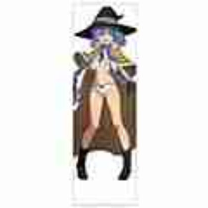 (s)無職転生II -異世界行ったら本気だす-抱き枕カバー ロキシー・ミグルディア 描き下ろし 送料別880円