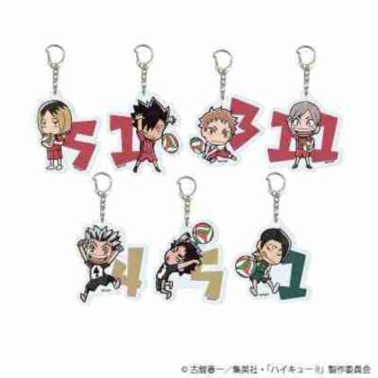 (s)アクリルキーホルダー｢ハイキュー!!｣08/ブラインド 送料別880円