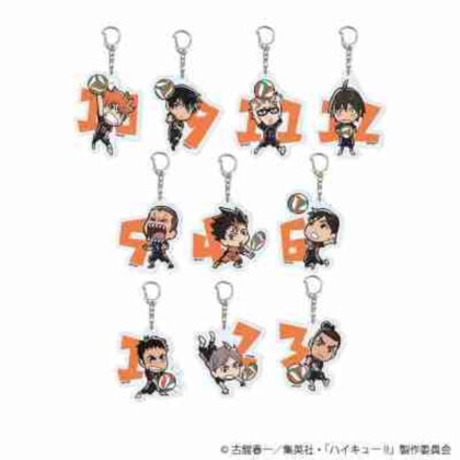 (s)アクリルキーホルダー｢ハイキュー!!｣09/ブラインド 送料別880円