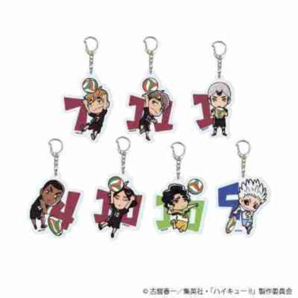 (s)アクリルキーホルダー｢ハイキュー!!｣10/ブラインド 送料別880円