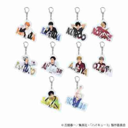 (s)アクリルキーホルダー｢ハイキュー!!｣11/リラックスver. ブラインド (描き下ろし) 送料別880円