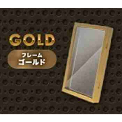 フルプロテクトパックケース・プラス<P> ゴールド