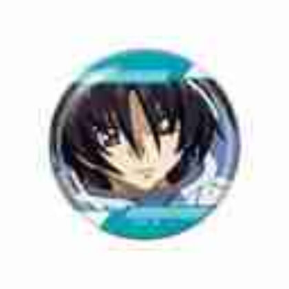 (s)機動戦士ガンダムSEED DESTINY 缶バッジ シン・アスカ 送料別880円