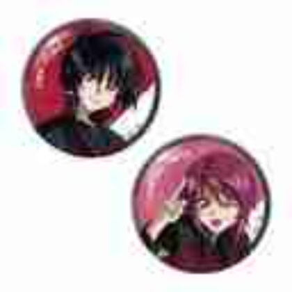 (s)機動戦士ガンダムSEED DESTINY ペア缶バッジシン・アスカ&ルナマリア・ホーク 送料別880円