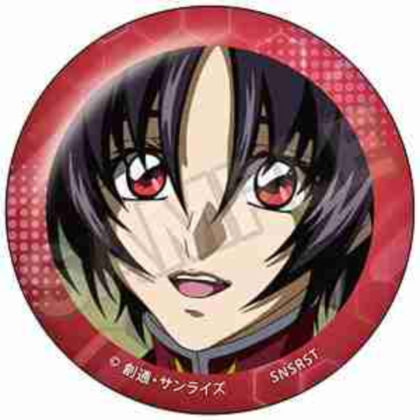 (s)機動戦士ガンダムSEED DESTINY 場面写 缶バッジ シン・アスカ 送料別880円