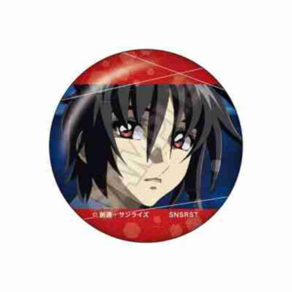 (s)機動戦士ガンダムSEED DESTINY vol.3 缶バッジ シン・アスカB 送料別880円