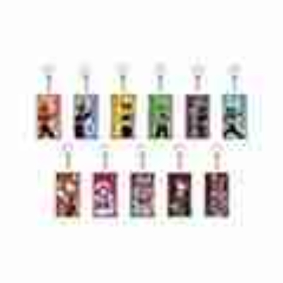 (s)アクリルキーホルダー｢ナンバーワン戦隊ゴジュウジャー｣01/ブラインド(全11種)(グラフアートイラスト) 送料別880円