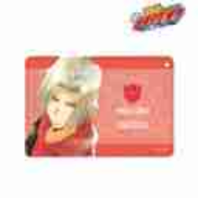 (s)TVアニメ『家庭教師ヒットマンREBORN!』 獄寺 隼人 Ani-Art aqua label 1ポケットパスケース 送料別880円