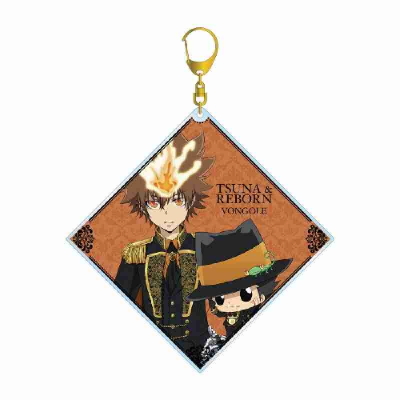 (s)TVアニメ『家庭教師ヒットマンREBORN!』 描き下ろしイラスト 沢田 綱吉&リボーン 王子衣装ver. BI 送料別880円