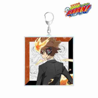 (s)TVアニメ『家庭教師ヒットマンREBORN!』 描き下ろしイラスト 沢田 綱吉 戦う背中ver. BIGアクリルキ 送料別880円