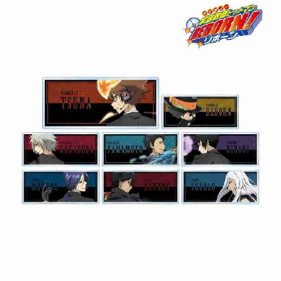 (s)TVアニメ『家庭教師ヒットマンREBORN!』 描き下ろしイラスト 戦う背中ver. トレーディングアクリルネームプ 送料別880円