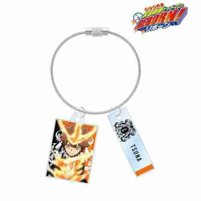 (s)TVアニメ『家庭教師ヒットマンREBORN!』 沢田 綱吉 2連ワイヤーアクリルキーホルダー 送料別880円