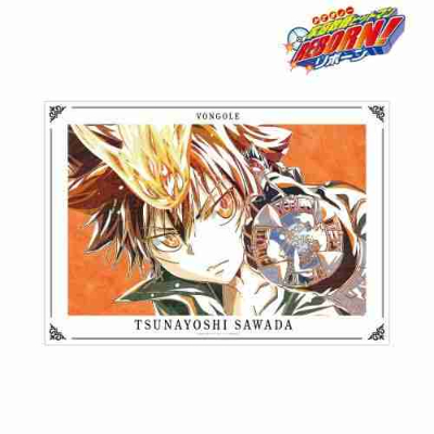 (s)TVアニメ『家庭教師ヒットマンREBORN!』 沢田 綱吉 Ani-Art 第4弾 A3マット加工ポスター 送料別880円