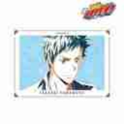 (s)TVアニメ『家庭教師ヒットマンREBORN!』 山本 武Ani-Art 第4弾 A3マット加工ポスター 送料別880円