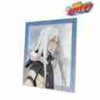 (s)TVアニメ『家庭教師ヒットマンREBORN!』 描き下ろし スペルビ・スクアーロ(10年後) 歩みver. BIGキャ 送料別880円