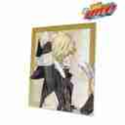 (s)TVアニメ『家庭教師ヒットマンREBORN!』 描き下ろし ベルフェゴール(10年後) 歩みver. BIGキャンバ 送料別880円