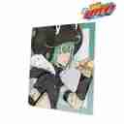 (s)TVアニメ『家庭教師ヒットマンREBORN!』 描き下ろし フラン 歩みver. BIGキャンバスボード 送料別880円