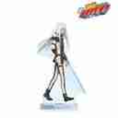 (s)TVアニメ『家庭教師ヒットマンREBORN!』 描き下ろし スペルビ・スクアーロ(10年後) 歩みver. BIGアク 送料別880円