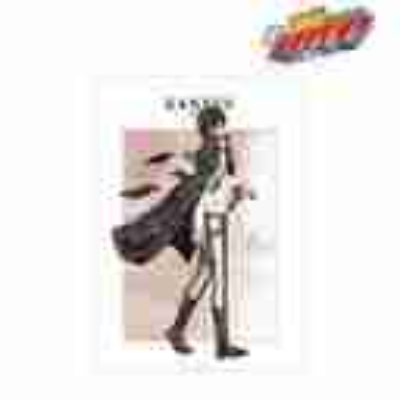 (s)TVアニメ『家庭教師ヒットマンREBORN!』 描き下ろし XANXUS(10年後) 歩みver. A3マット加工ポ 送料別880円