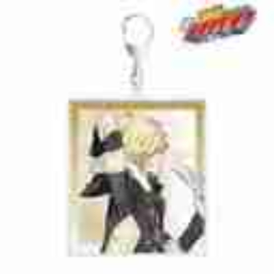 (s)TVアニメ『家庭教師ヒットマンREBORN!』 描き下ろし ベルフェゴール(10年後) 歩みver. BIGアクリルキ 送料別880円