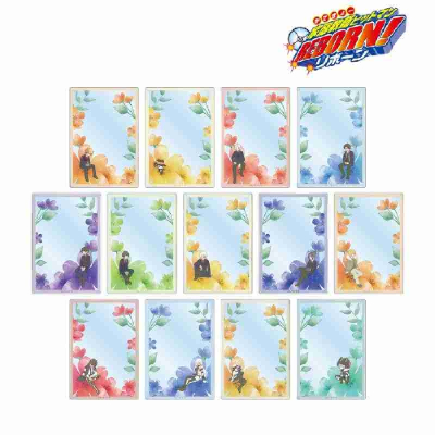 (s)TVアニメ『家庭教師ヒットマンREBORN!』 トレーディング Botania アクリルカード 送料別880円