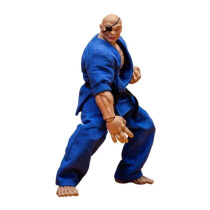 『範馬刃牙』 アクションフィギュア 愚地独歩 スペシャルエディション