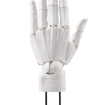 (s)ARTIST SUPPORT ITEM ハンドモデルMEN'S/L -WHITE- 送料別880円