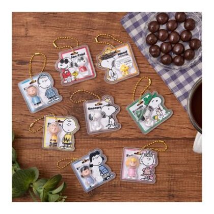 32 PEANUTS -SNOOPY- パッケージチャーム&チョコボーロ