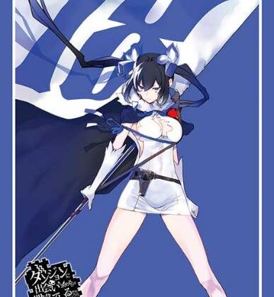 スリーブコレクション ハイグレード Vol.5147 GA文庫『ダンジョンに出会いを』ヘスティア