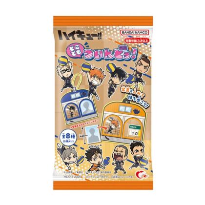 どこでもついんどぅ! ハイキュー!!